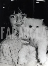 Foto vintage Francia, Ramses, Il persiano bianco, 1981, stampa 24x18 cm