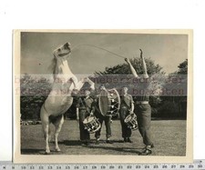 FOTO STAMPA ORIGINALE: 1956