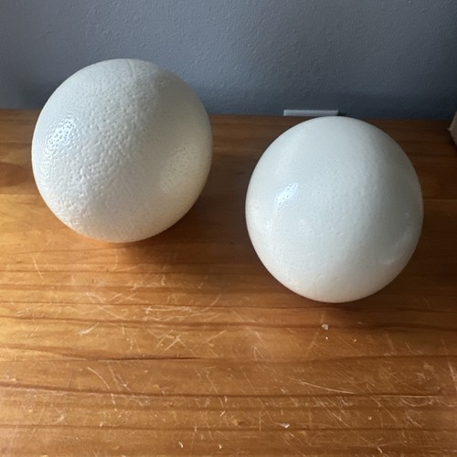 Pair genuine ostrich egg - pair, (2)