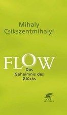 Flow: Das Geheimnis des