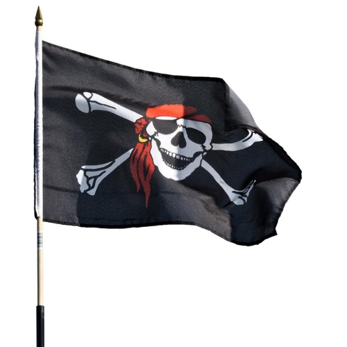 Bandiera dei pirati - bandiera,