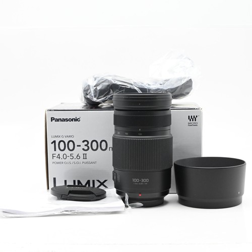 Panasonic lumix 100 300 - panasonic,
