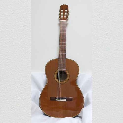Takamine chitarra - takamine,