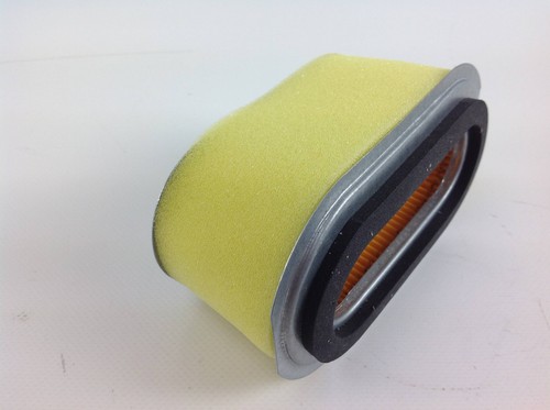 Filtro aria per motore