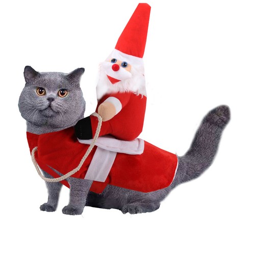 Costume natalizio fantasia