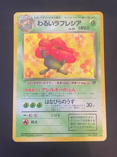 Japanese pokemon dark - pokemon,