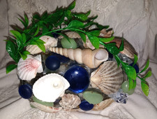 NUOVO! Pianta di grotta