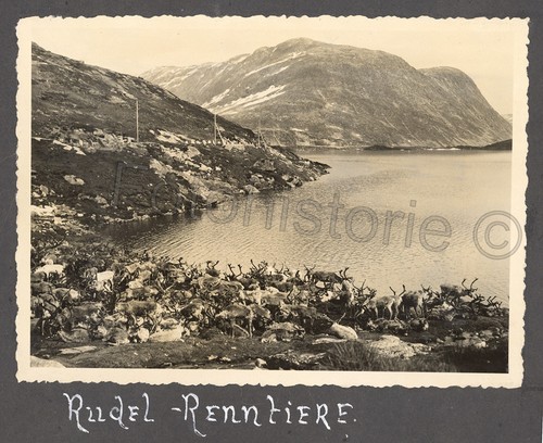 Foto norvegia - 3x,