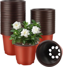 100 Pezzi Vasi per Piante in
