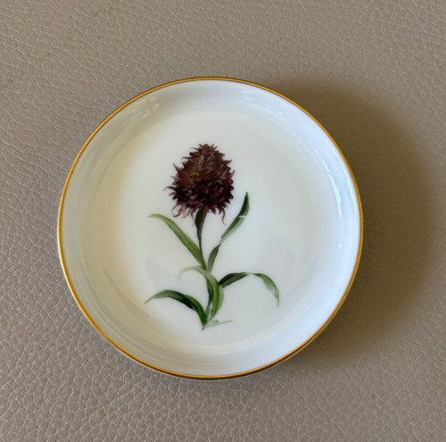Rosenthal porcellana dipinta - rosenthal,