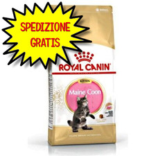 ROYAL CANIN GATTO KITTEN MAINE