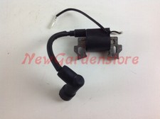 Bobina di accensione motore