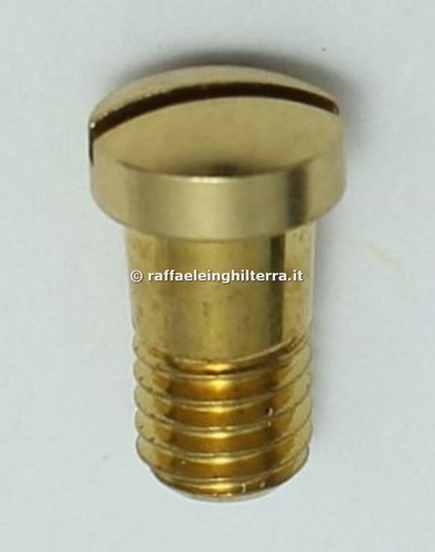 Selmer vite anello campana