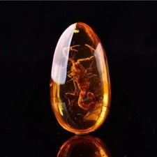 Scorpion Amber Variety pendant