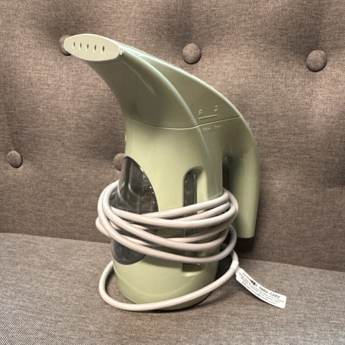 Vaporiera per indumenti con