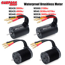 SURPASS HOBBY Brushless Motor
