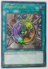 RIMPICCIOLIRE  1^ Edizione