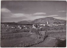 Nimis udine gervasio - udine, s.