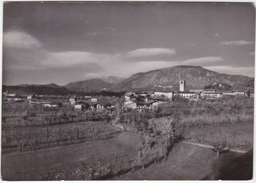 Nimis udine gervasio - -,