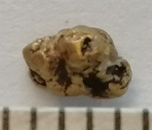 Pepita oro xxl 4mm - pepita,