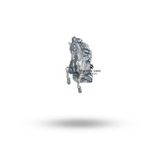 Allevamento Cavallo da Corsa