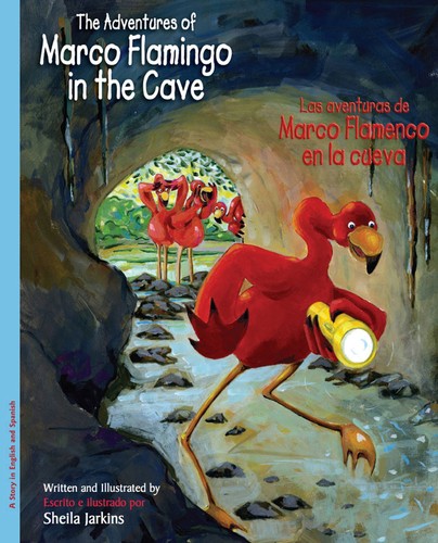 The adventures marco - of,