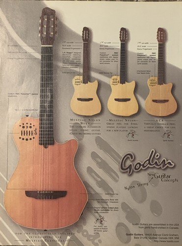 1999 godin guitar concepts - 1999,