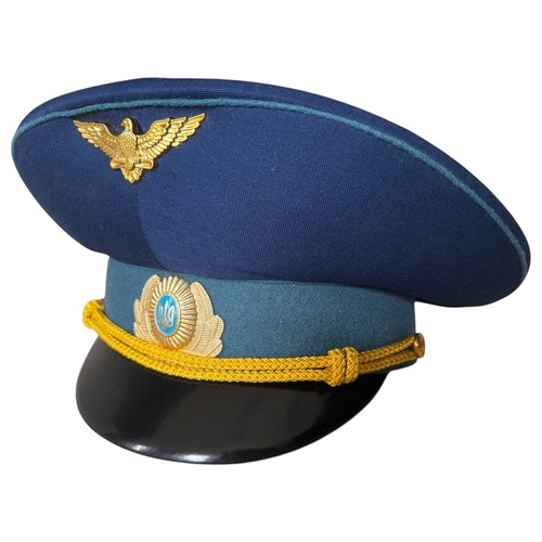 Vintage ukrainian air force - vintage,