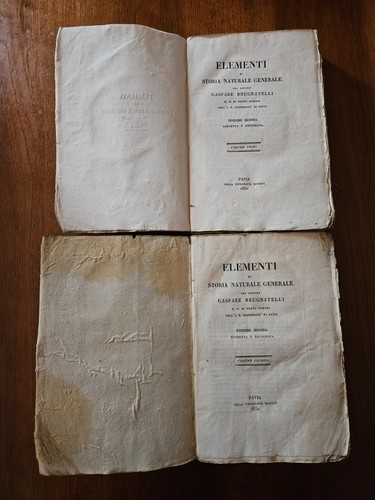 Elementi storia naturale - storia,