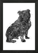 Poster Bulldog inglese
