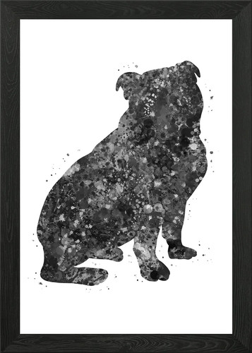 English bulldog puppy - bulldog, framed