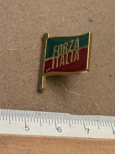Pins distintivo spilla forza - pins,