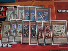 Yugioh Madolche Vernusylph