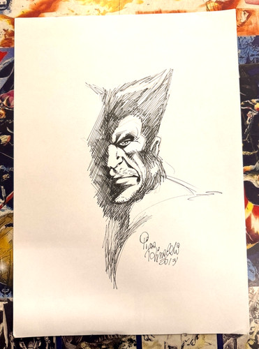 Wolverine disegno originale - disegno,