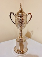 🏆 Trofeo Argento 13” Non Inciso Vintage Usato Tazza Premio Ideale Esposizione Riutilizzabile