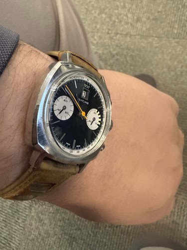 Glycine meccanica povera - meccanica,