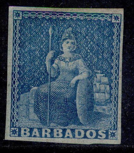 Barbados sg3 blu m - blu,,