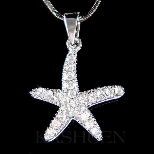 Stella mare starfish in - stella,