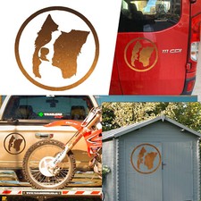 Border Collie, Adesivo In