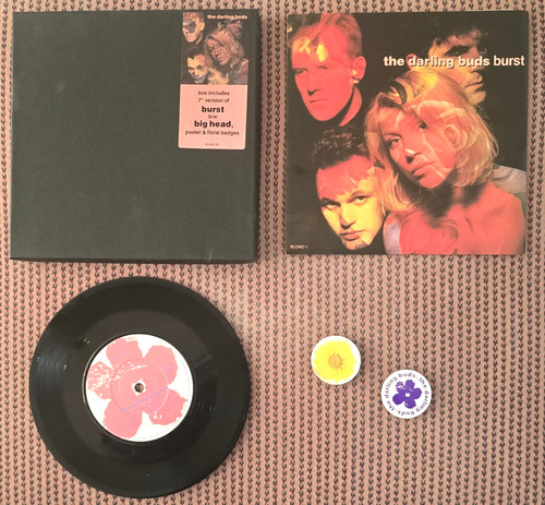 The darling buds - burst, uk