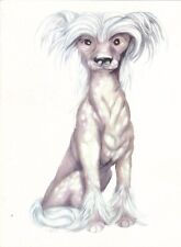 Cartolina Chinese Crested Dog