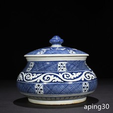 Vaso piante fiori bianchi blu