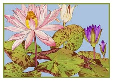 Fiore asiatico Tanigami loto contato modello grafico punto croce