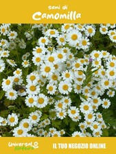 2000 Semi di Camomilla –