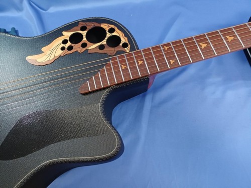 Chitarra elettrica acustica