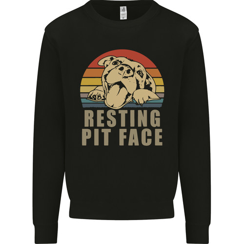 Maglione felpa riposo - maglione, pit