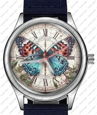 Farfalla Colorato Bello Arte