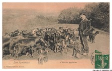 CAR-ABUP7-0609-65 - Pastore