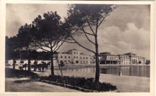 #CROAZIA- BRIONI: RIVA- Foto