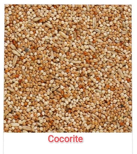 Miscela semi cocorite kg - cocorite, 4